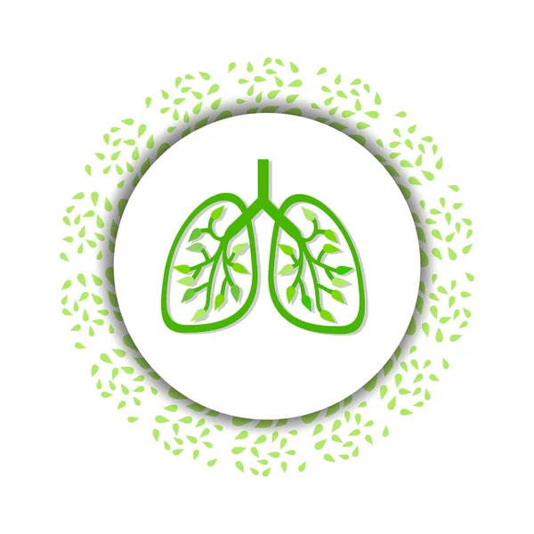 Lungs, on white background — Stock Vector