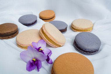 fwhite arka plan üzerinde renkli macaroons