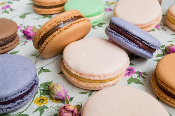 Color macaroons on a flower background — Stock Photo, Image