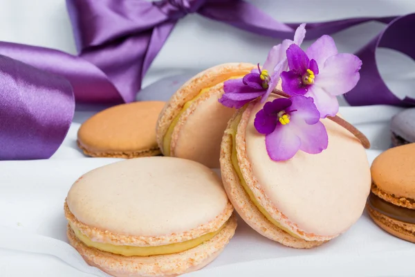 Color macaroons and silver casket on a white background — Stock Photo, Image