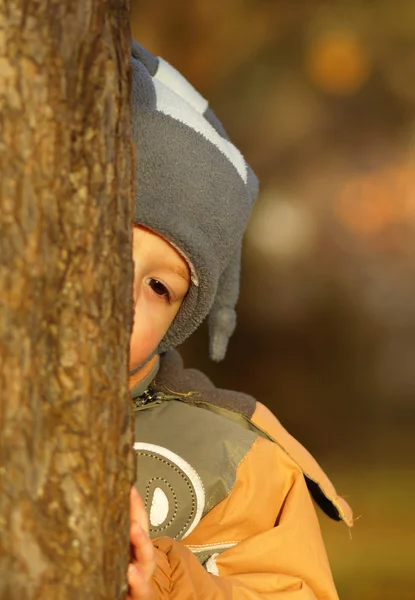 Barn bakom ett träd — Stockfoto