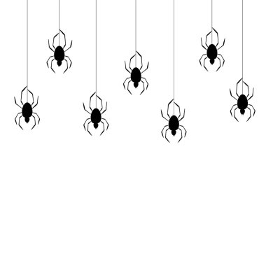 Beyaz bir arka plan üzerinde siyah örümcek ağı üzerinde üst sarkan siyah örümcekler