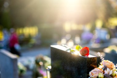 Gün batımında mezarlıktaki bir anıtta duran kırmızı gül. Merhumun anıları. Aşkın ifadesi