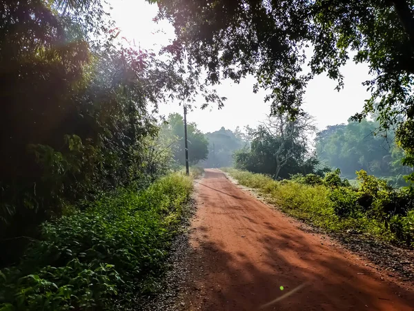 在印度 一条红色的土路和一条狭窄的小河流过 农村的大自然在早晨降临 — 图库照片