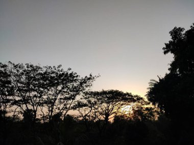 Kuzey Hindistan 'ın güzel kırsal kesimlerinde kış mevsiminde günbatımı manzarası.