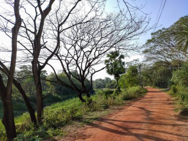 Kırmızı toprak bir yol ve dar bir nehir akıntısı Hindistan 'da kırsal doğa seansları yapıyor..