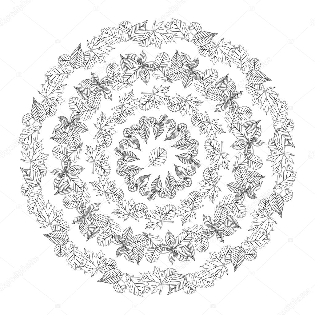 vector adult coloring book page circular pattern mandala  autumn leaves black and white
