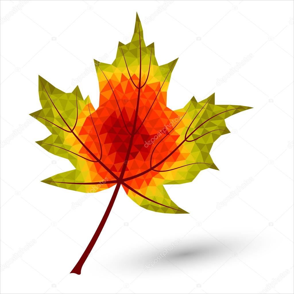 Triangular maple leaf