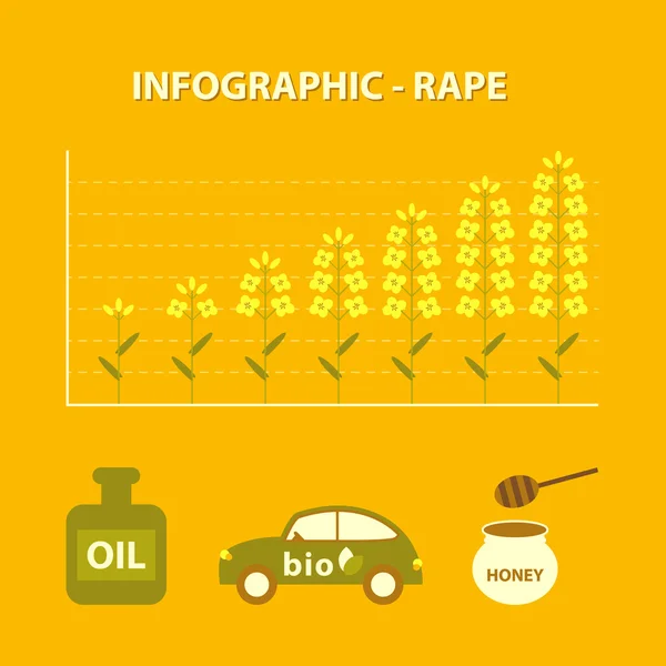 Infográfico laranja amarelo de produção crescente de colza planta - gráfico de informações em design plano com ícone de óleo, carro bio e mel — Vetor de Stock