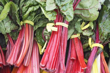 Pazı organik, gökkuşağı