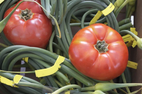 Organic Tomatoes Over Green Onions — Stock Photo, Image