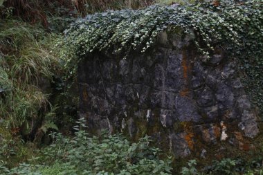 Kentsel bir parkta sonbahar renkleri