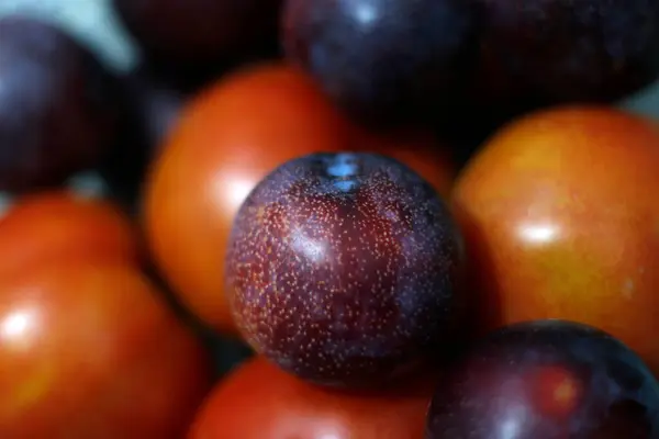 Fruits Légumes Sur Plateau — Photo