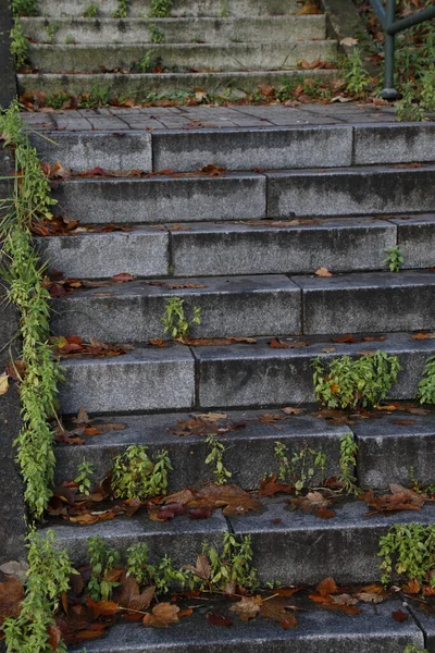 Treppen Einer Städtischen Umgebung — Stockfoto