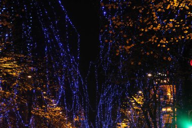 Şehirde noel süsü.