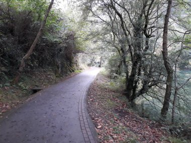 Bask ülkesinin kırsal kesimi