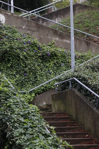 Couleurs Automne Dans Environnement Urbain — Photo