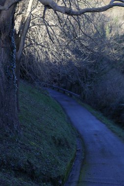 Kırsal bölgede yol