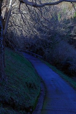 Kırsal bölgede yol