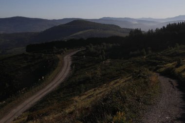 Kırsal bölgede yol