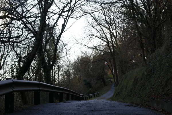 Caminho Lado País — Fotografia de Stock