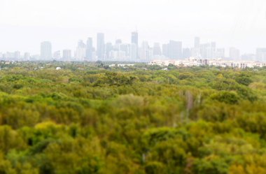 Miami şehir merkezinde bir bina.