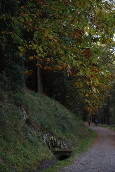 Percorso Campagna — Foto Stock