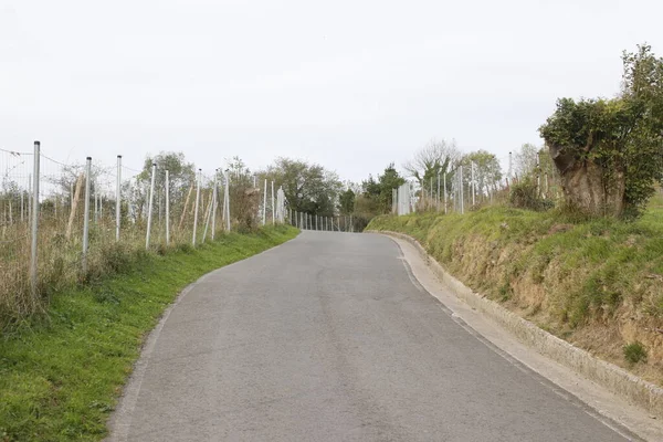 Kırsalda Yol — Stok fotoğraf