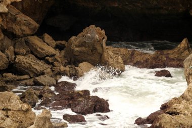 Bask kıyısının görüntüsü