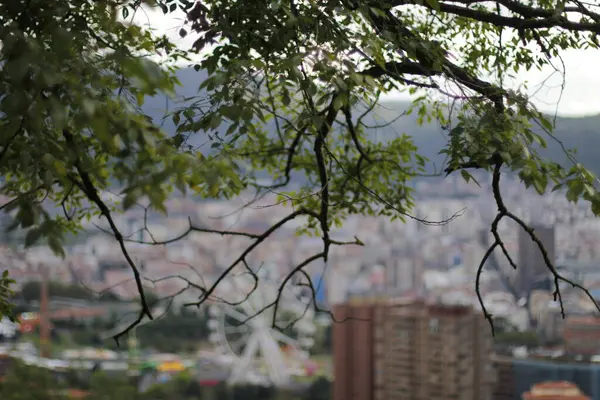 Stadtbild Von Bilbao — Stockfoto