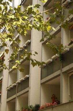 Dresden şehir merkezinde bir bina.