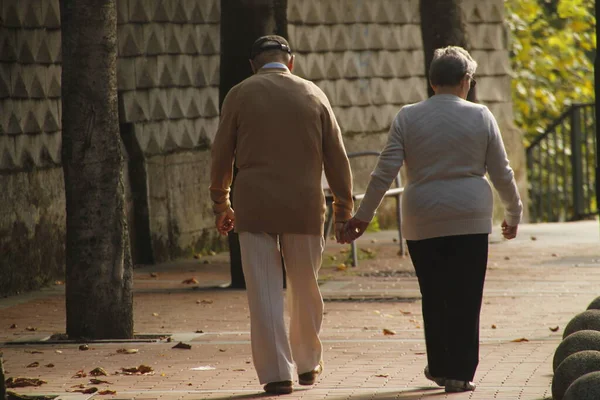 Стареющие Люди Гуляющие Парке — стоковое фото