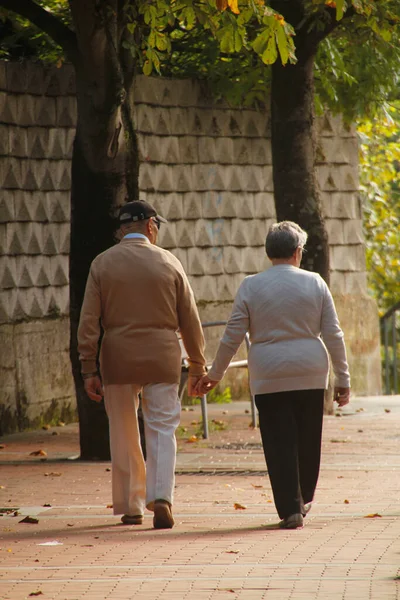 Ageing People Walking Park — Stock Photo, Image