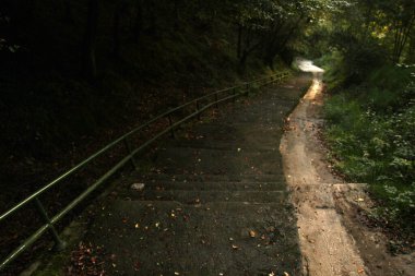 Kırsal kesimde kırsal kesim