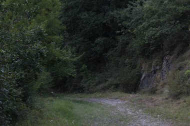 Kırsal kesimde kırsal kesim