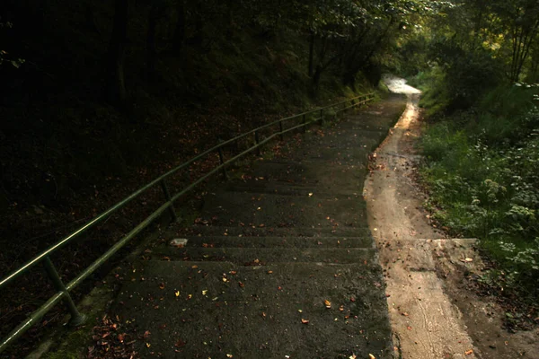 Kırsal kesimde kırsal kesim