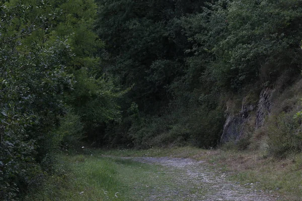 Kırsal kesimde kırsal kesim