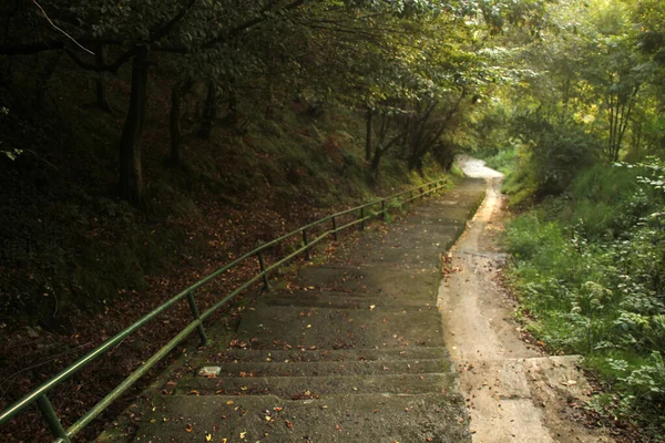 Percorso Rurale Immerso Nel Verde — Foto Stock