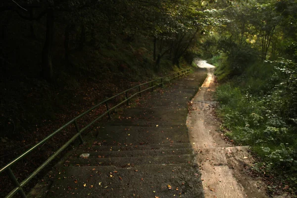 Percorso Rurale Immerso Nel Verde — Foto Stock