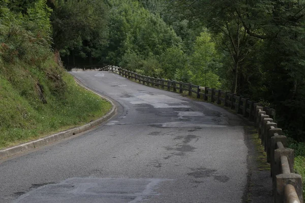 Percorso Rurale Immerso Nel Verde — Foto Stock