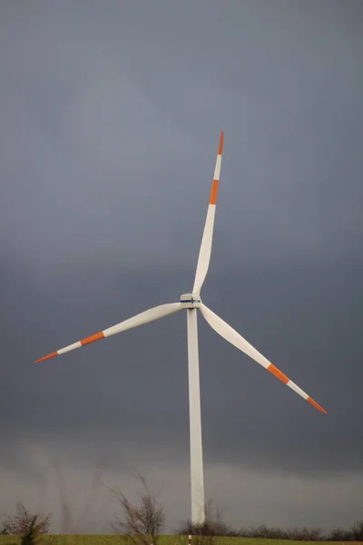 Windmill Shore Netherlands — Stock Photo, Image