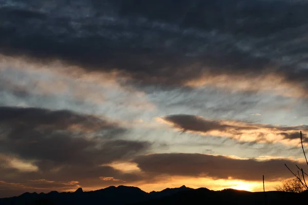 Zonsondergang Een Park Het Gouden Uur — Stockfoto