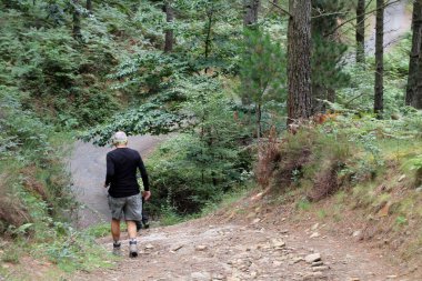 Kırsalda yürüyüş yapmak.