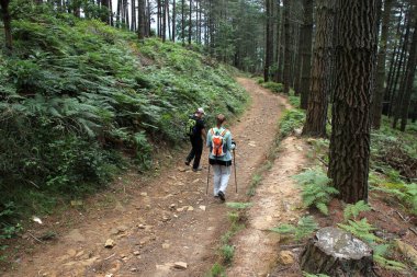 Kırsalda yürüyüş yapmak.