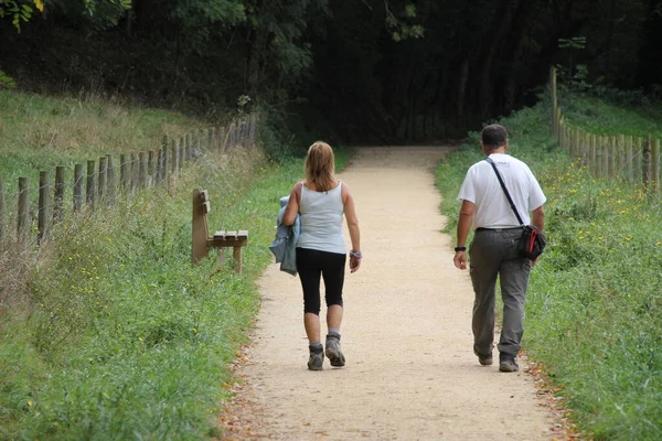 Kırsalda yürüyüş yapmak.