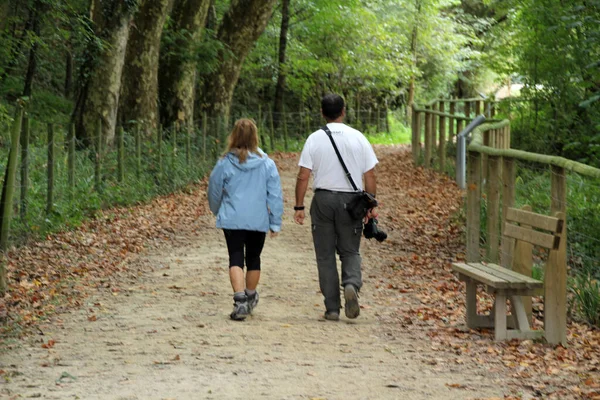 Kırsalda yürüyüş yapmak.
