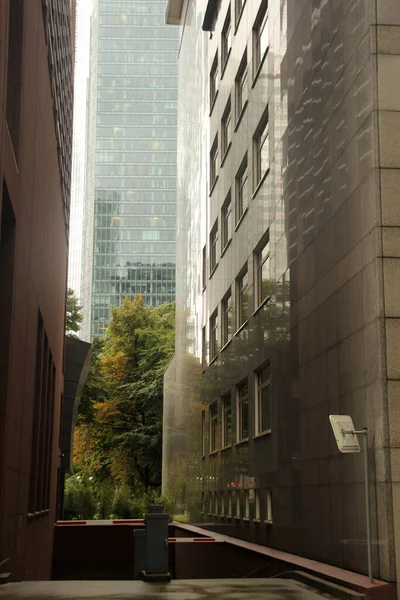 Arquitectura Ciudad Frankfurt —  Fotos de Stock