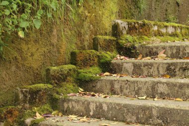 Şehir ortamında merdivenler