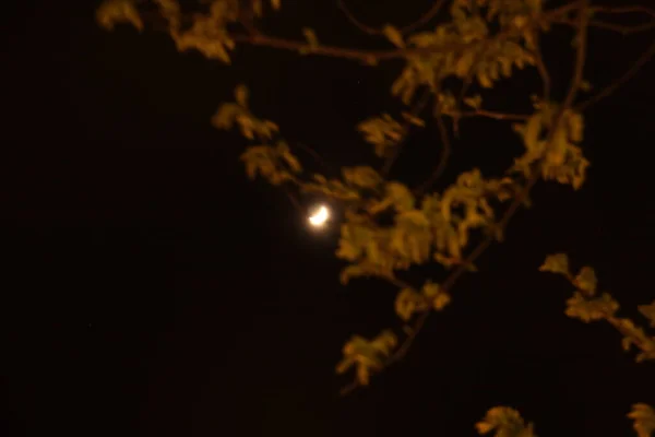 Utsikt Över Månen Natten — Stockfoto