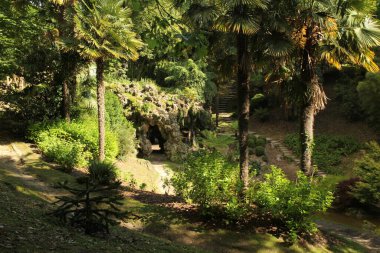 Bir şehir parkında bitki örtüsü